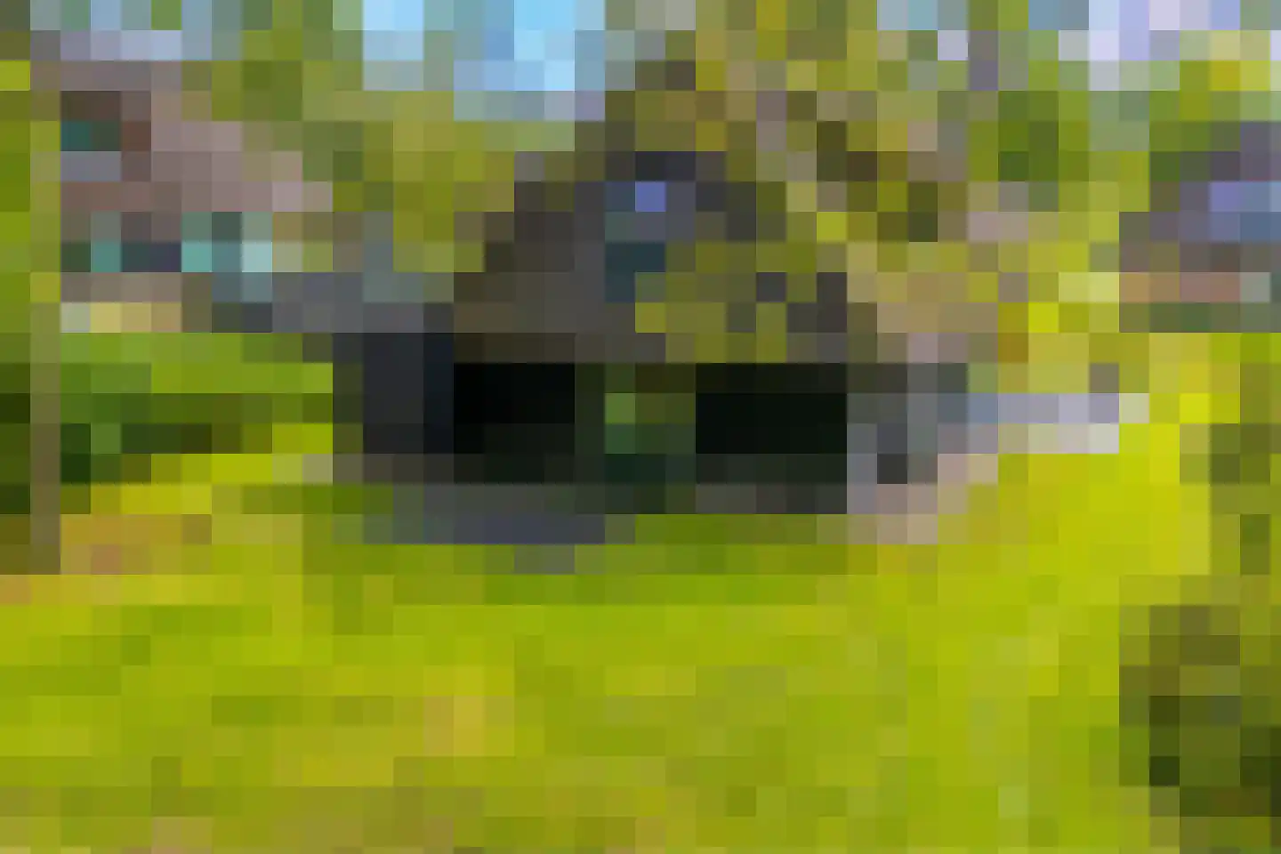 Valtherweg 36 428 Exloo thumbnail 38