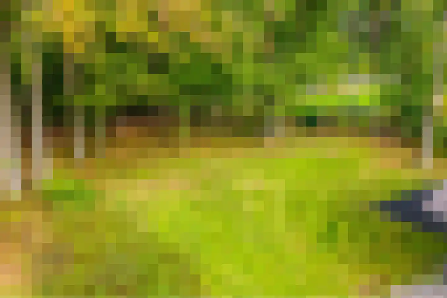 Valtherweg 36 428 Exloo thumbnail 39