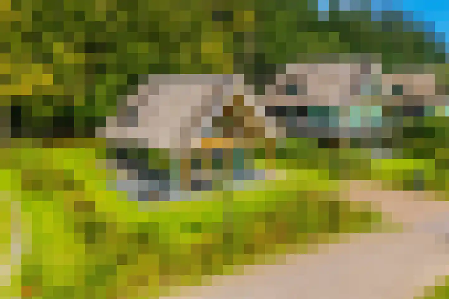 Valtherweg 36 428 Exloo thumbnail 40