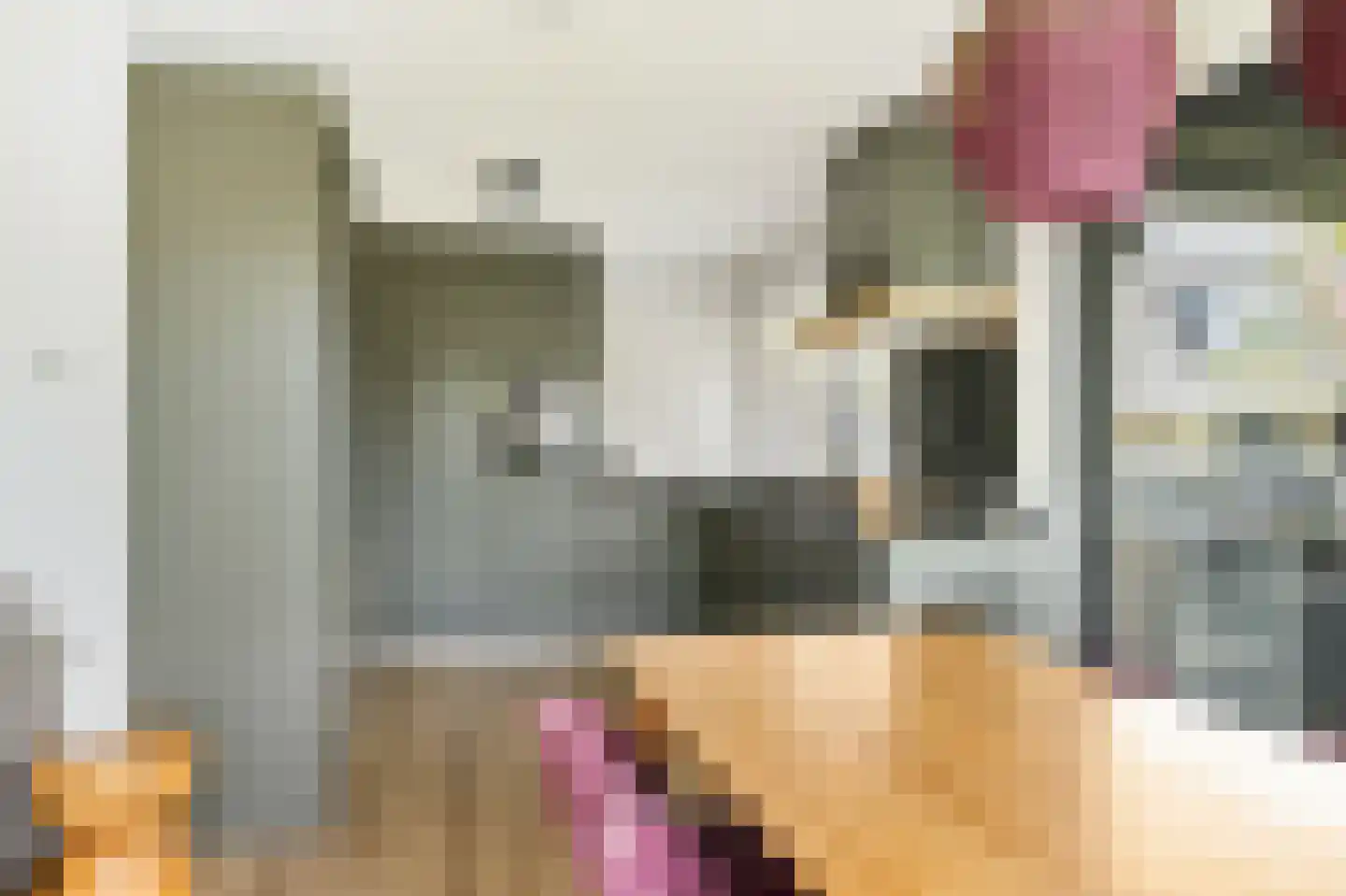 Valtherweg 36 520 Exloo thumbnail 12