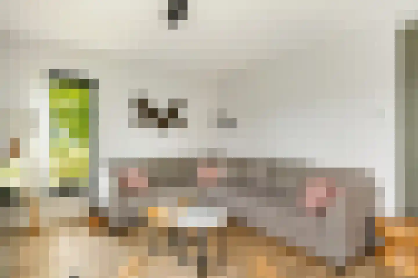 Valtherweg 36 520 Exloo thumbnail 13
