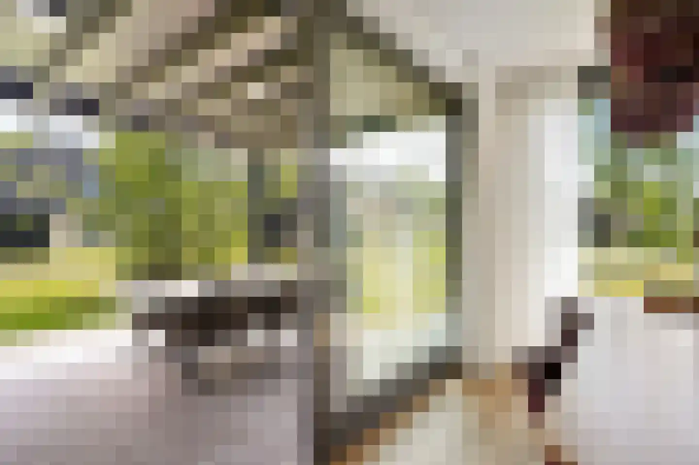 Valtherweg 36 520 Exloo thumbnail 15