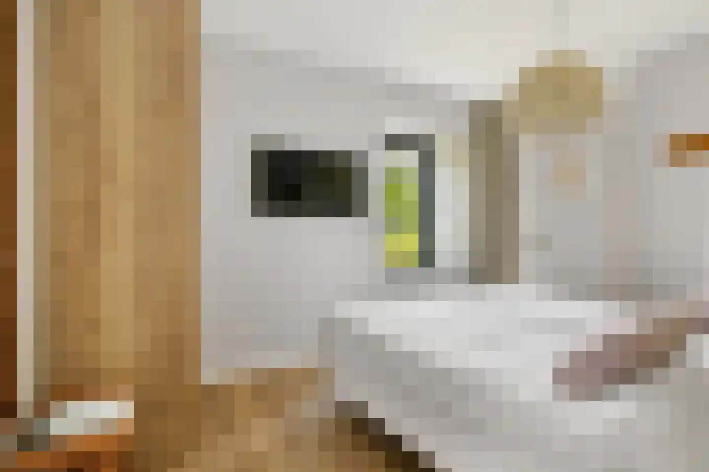 Valtherweg 36 520 Exloo thumbnail 18