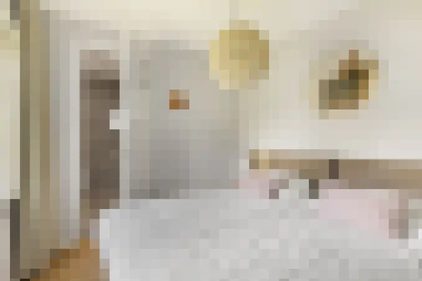 Valtherweg 36 520 Exloo thumbnail 19