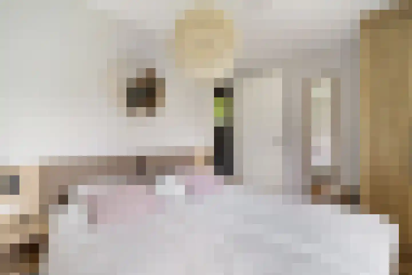 Valtherweg 36 520 Exloo thumbnail 20