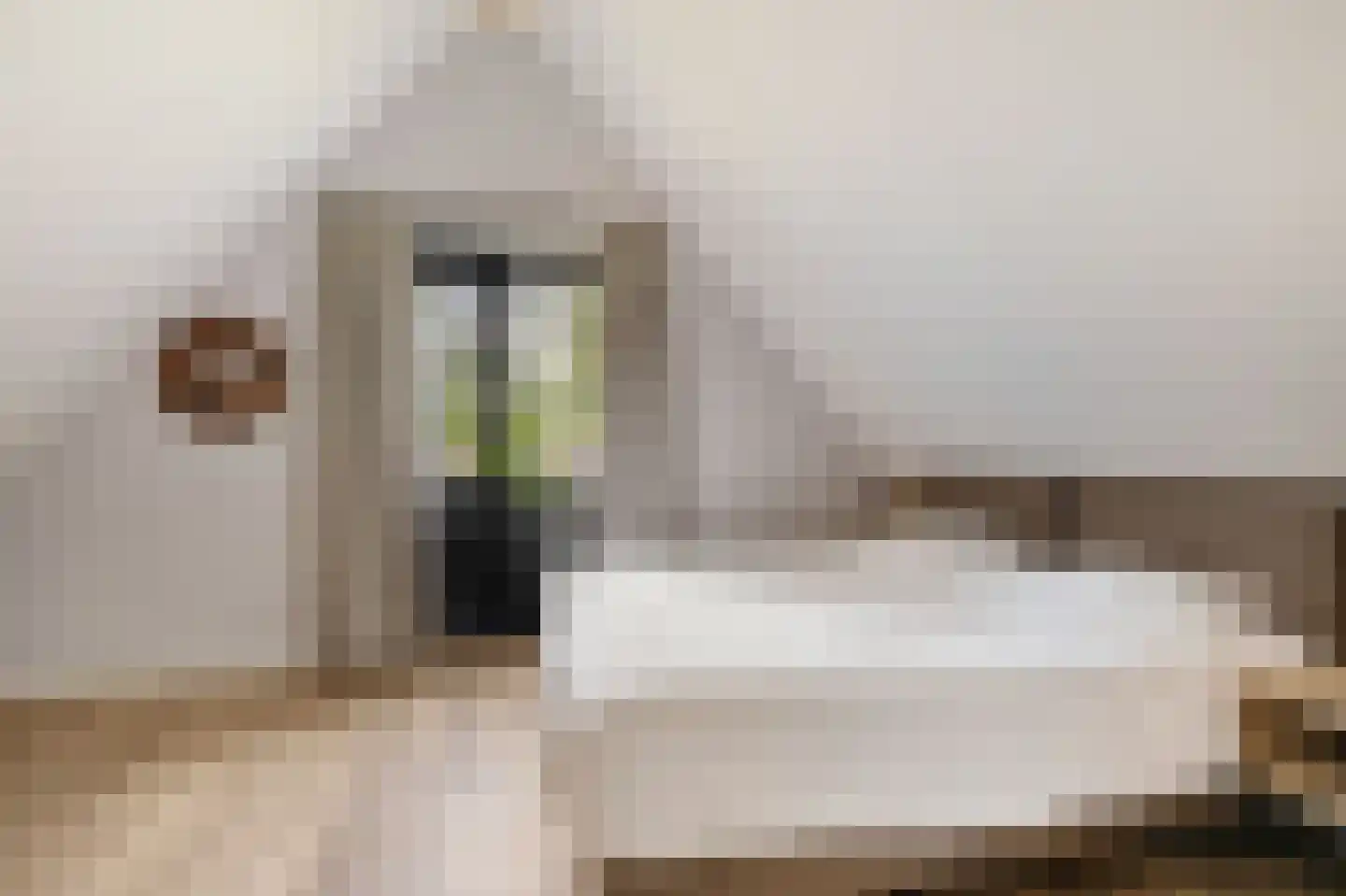 Valtherweg 36 520 Exloo thumbnail 23