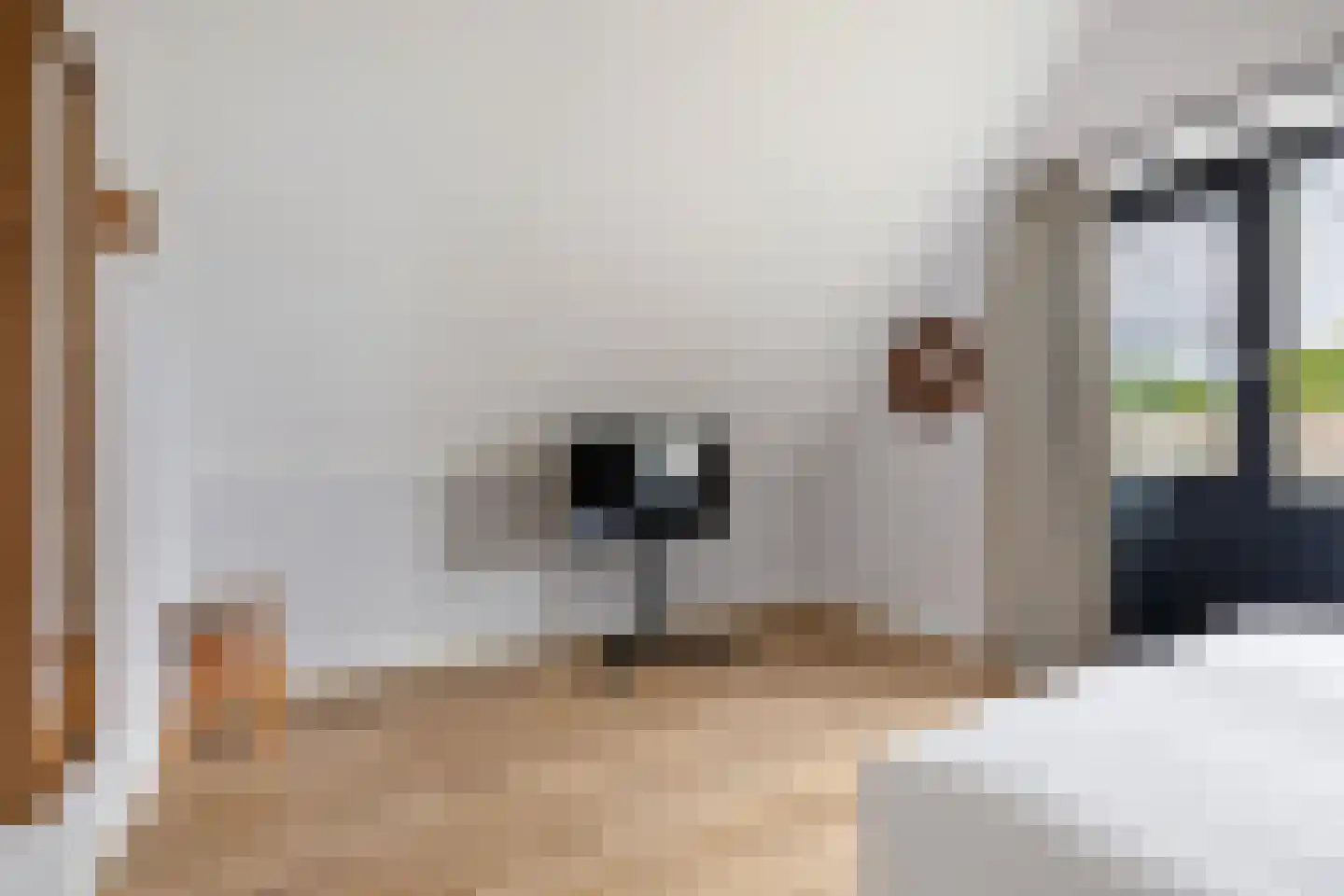 Valtherweg 36 520 Exloo thumbnail 24