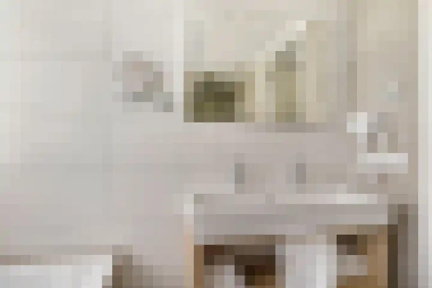 Valtherweg 36 520 Exloo thumbnail 28