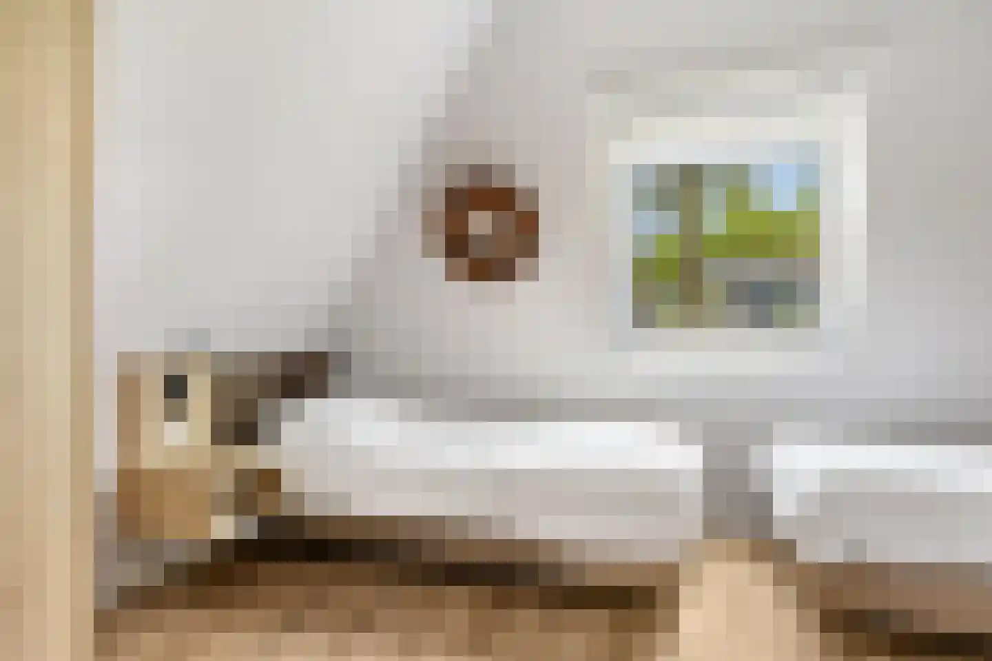 Valtherweg 36 520 Exloo thumbnail 30