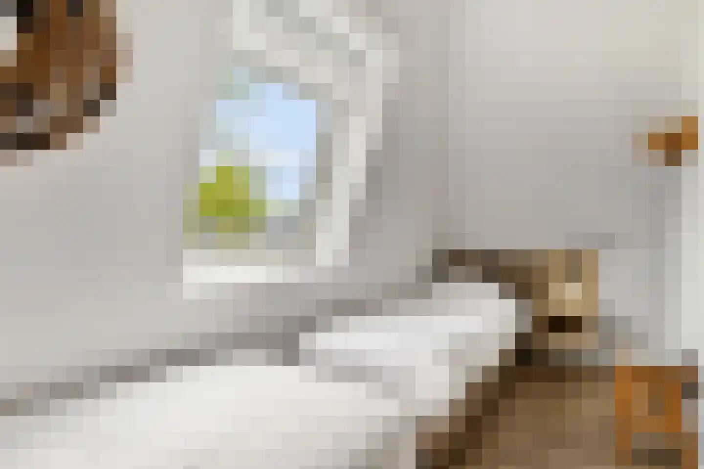 Valtherweg 36 520 Exloo thumbnail 31