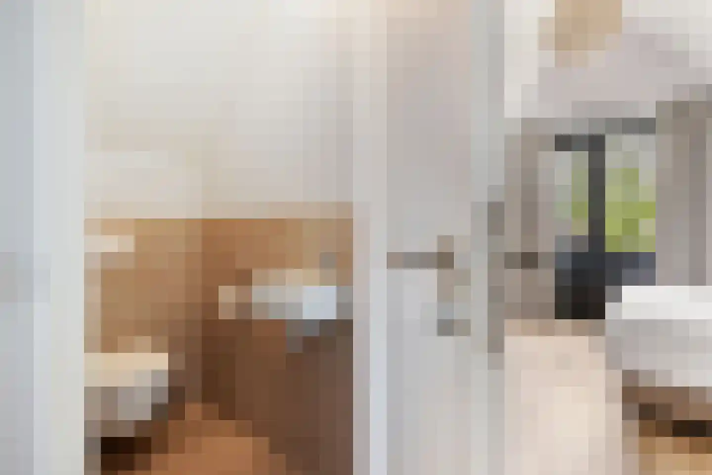 Valtherweg 36 520 Exloo thumbnail 33