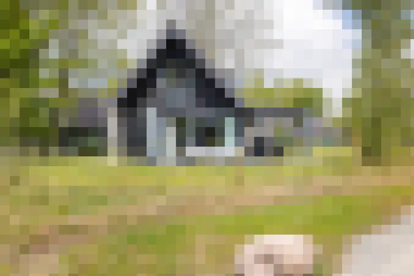 Valtherweg 36 520 Exloo thumbnail 38