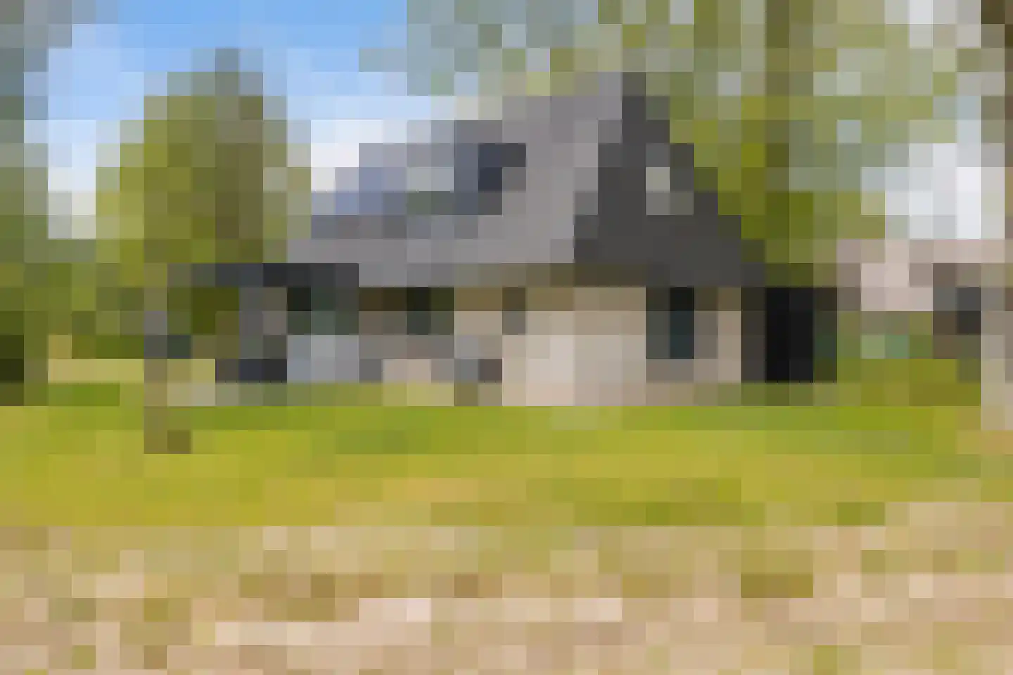 Valtherweg 36 520 Exloo thumbnail 4