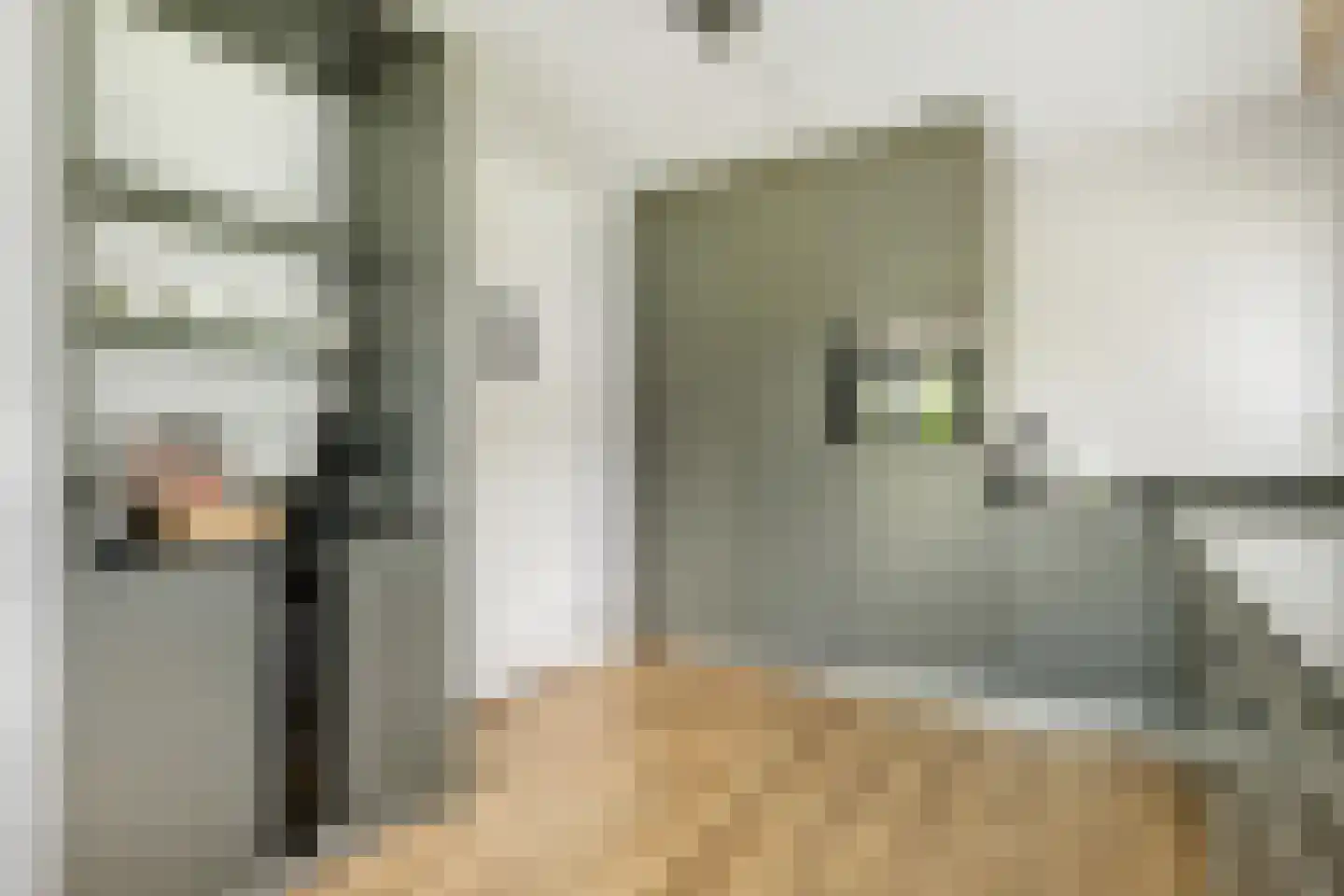 Valtherweg 36 520 Exloo thumbnail 9