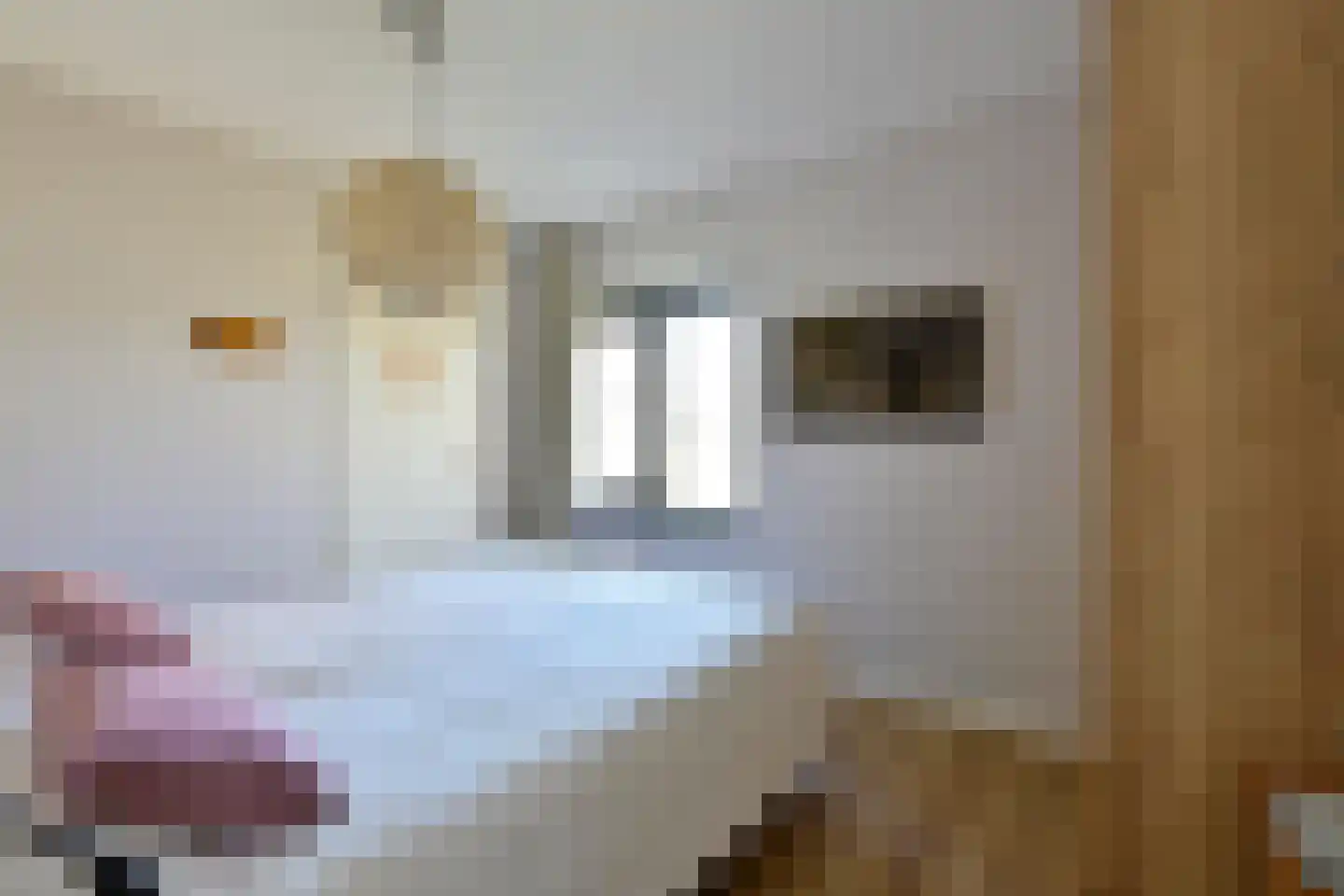 Valtherweg 36 523 Exloo thumbnail 10
