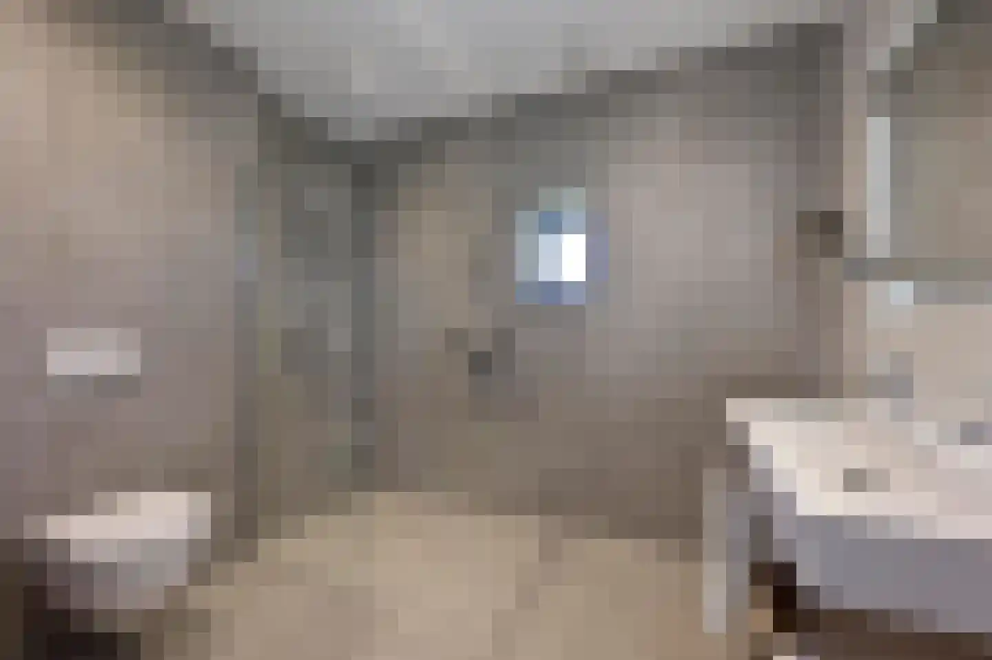 Valtherweg 36 523 Exloo thumbnail 11