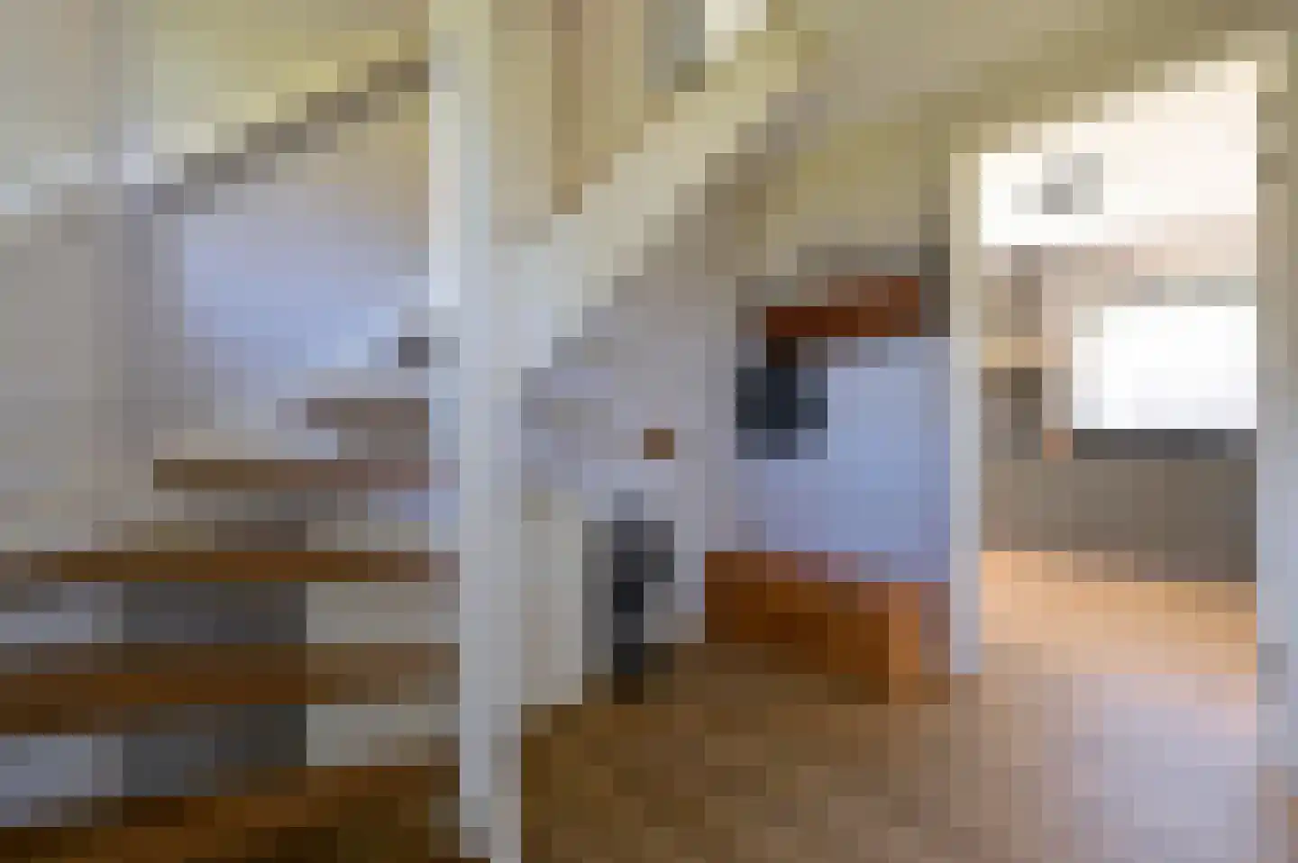 Valtherweg 36 523 Exloo thumbnail 13