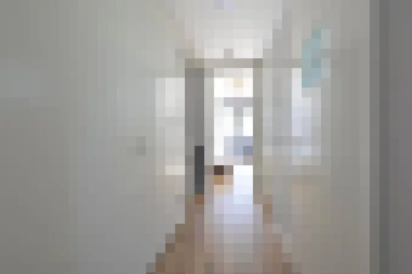 Valtherweg 36 523 Exloo thumbnail 15