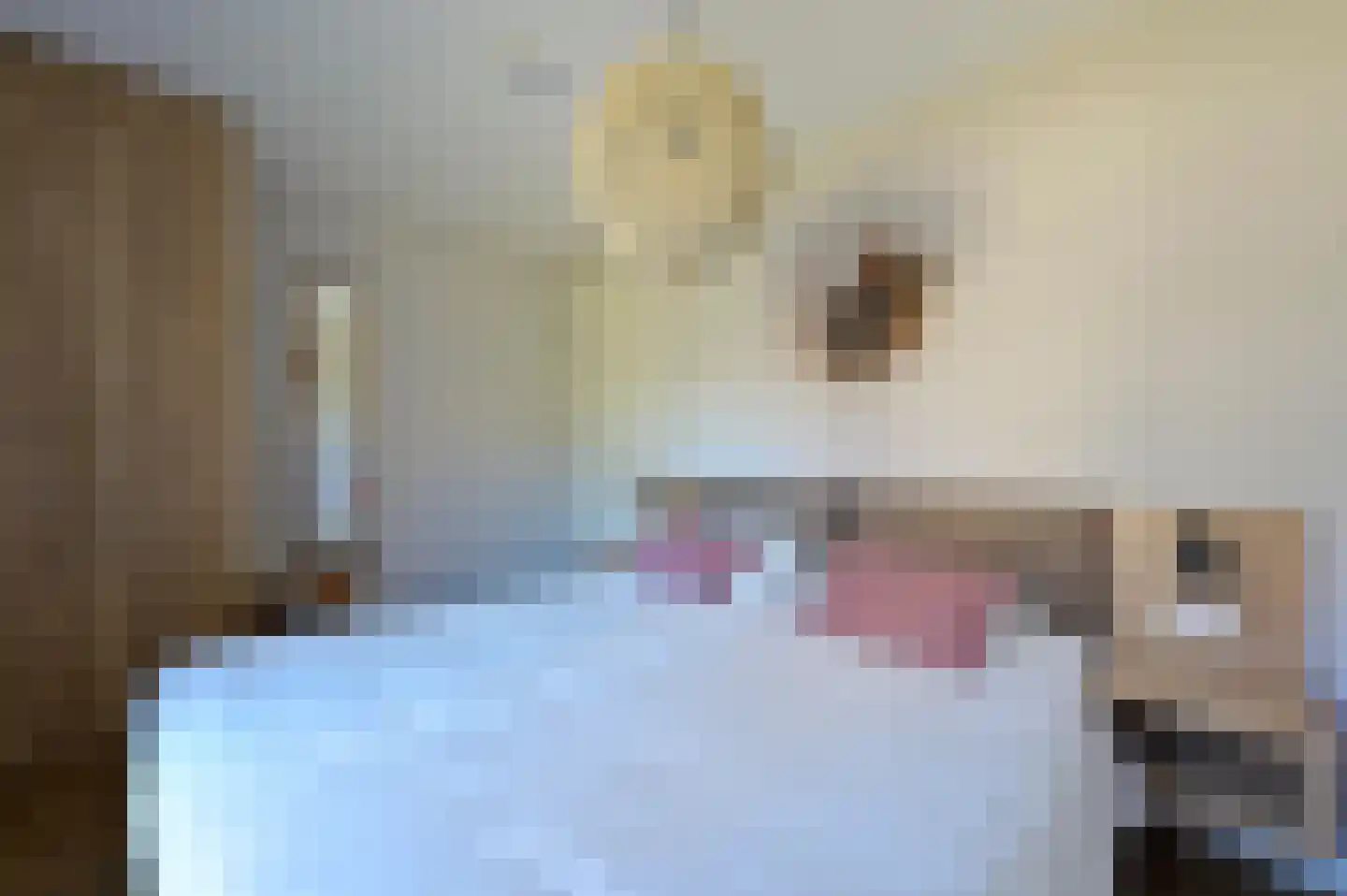 Valtherweg 36 523 Exloo thumbnail 9