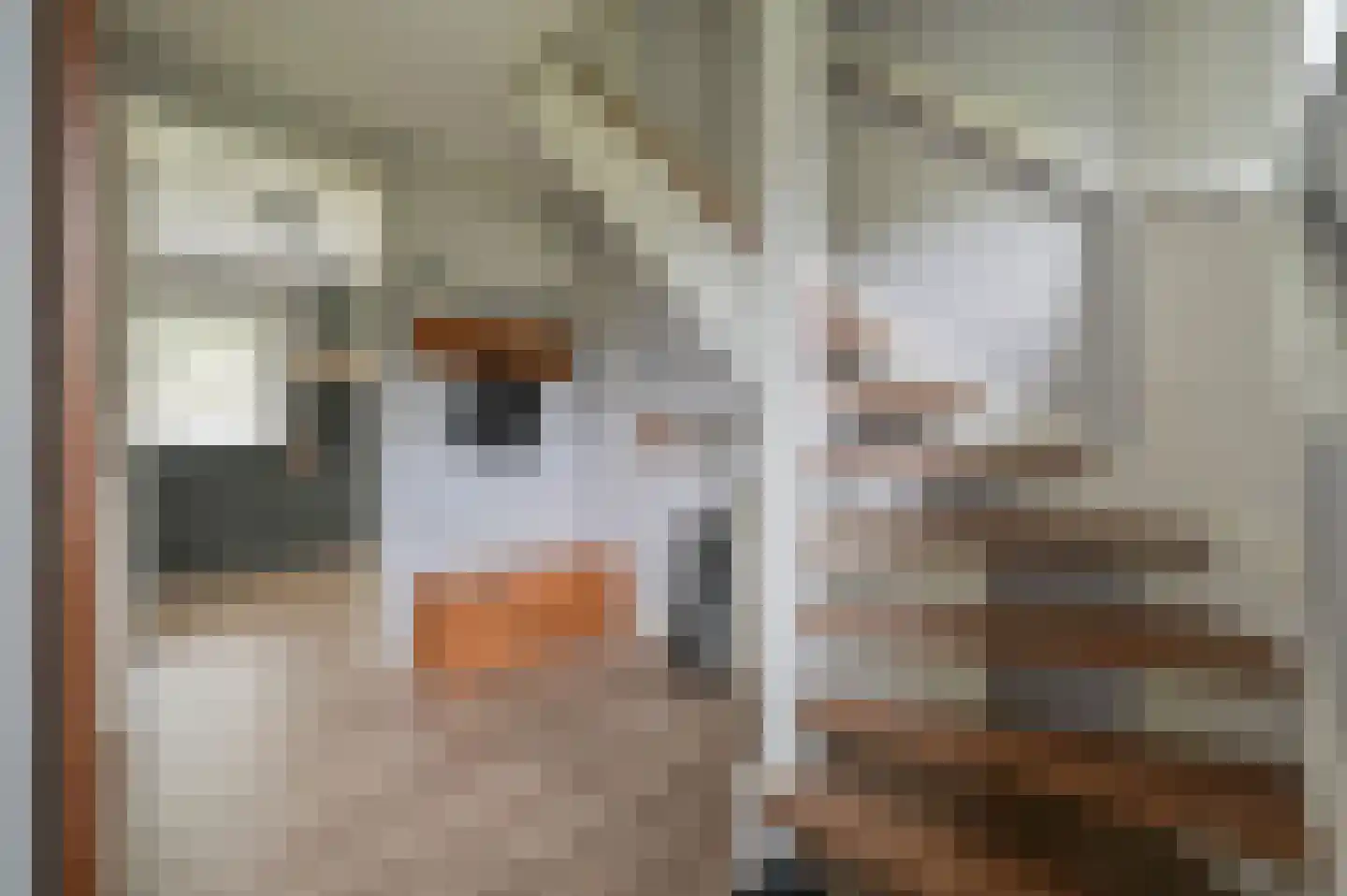 Valtherweg 36 530 Exloo thumbnail 13