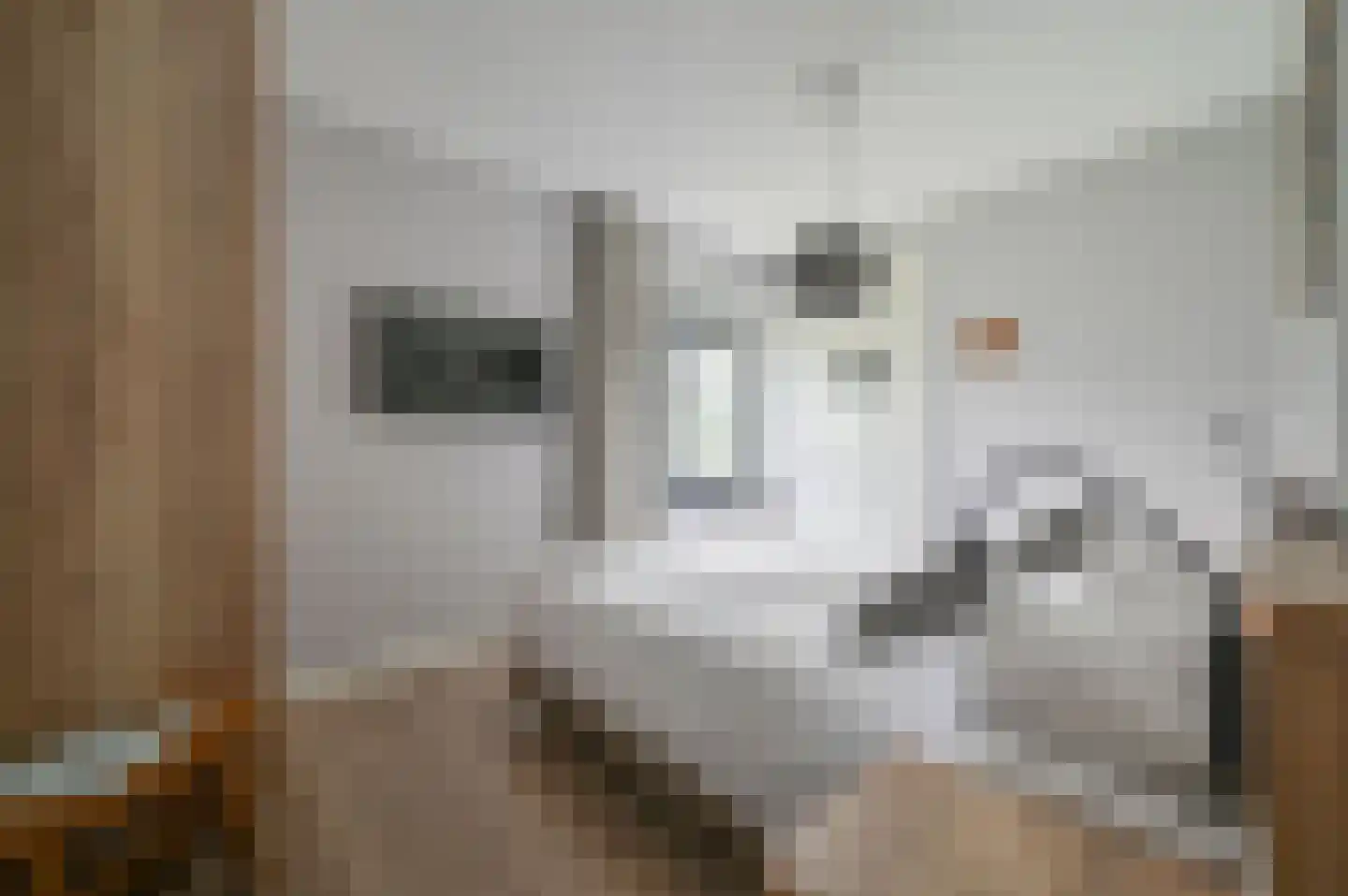 Valtherweg 36 530 Exloo thumbnail 15