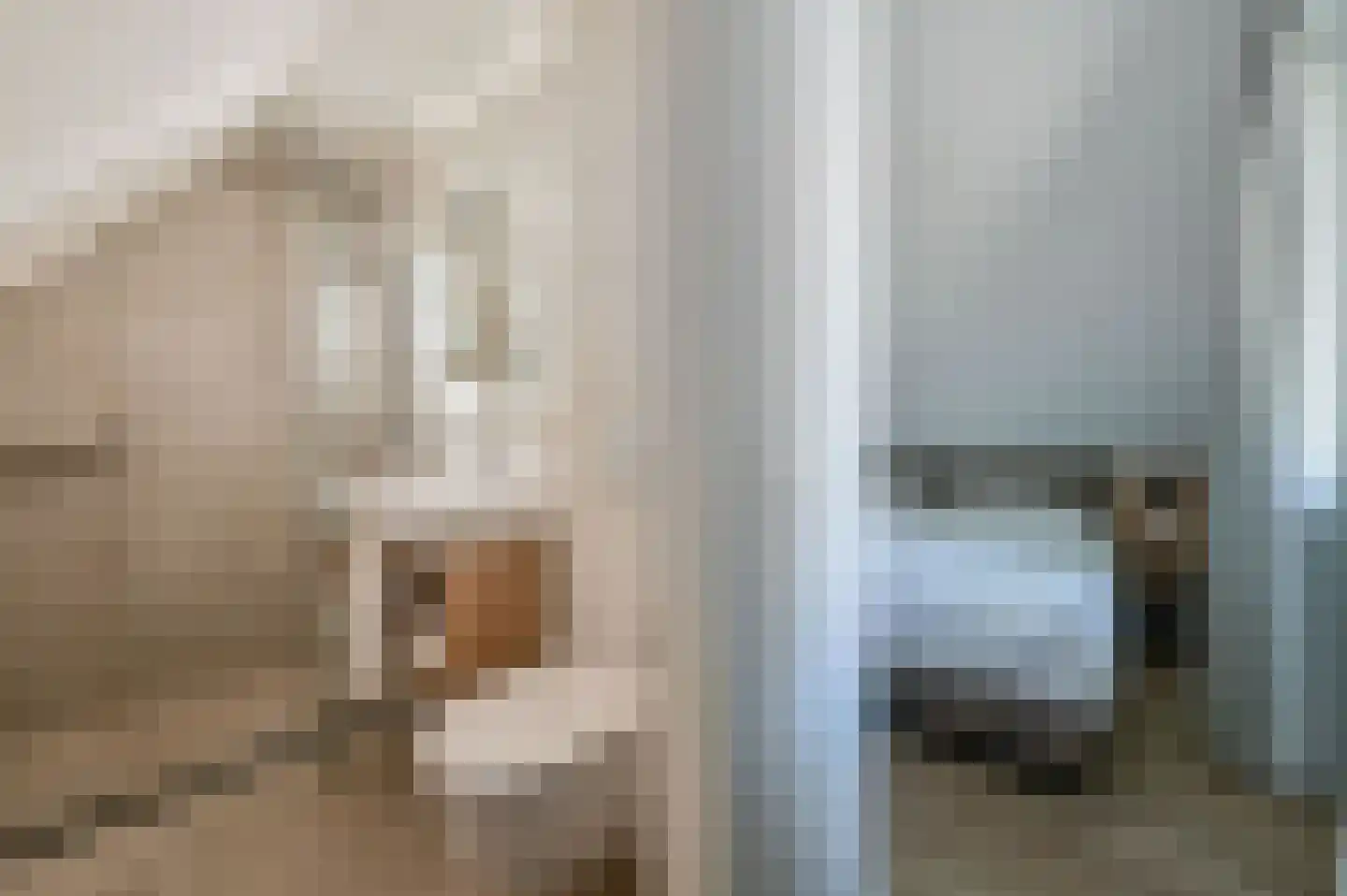 Valtherweg 36 530 Exloo thumbnail 26
