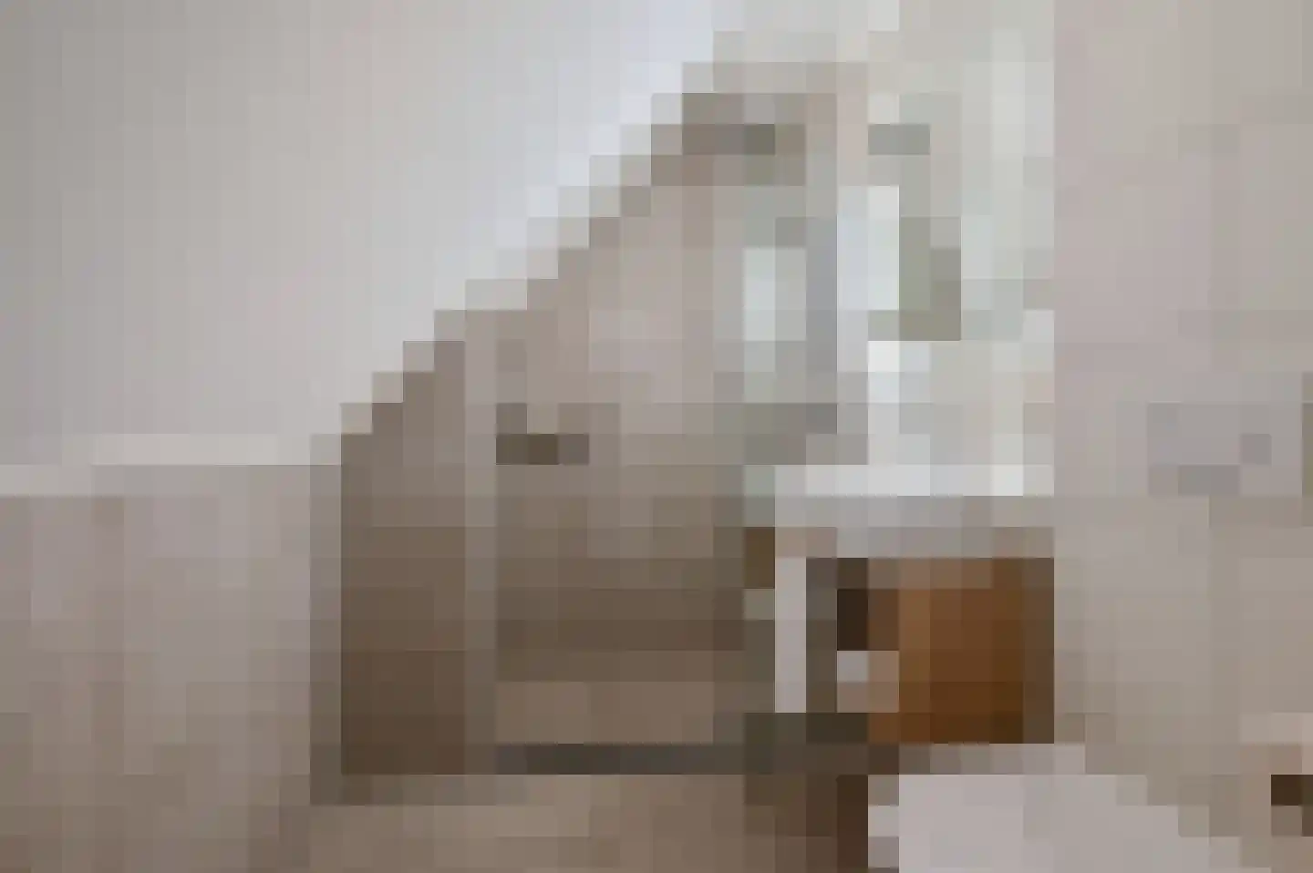 Valtherweg 36 530 Exloo thumbnail 27
