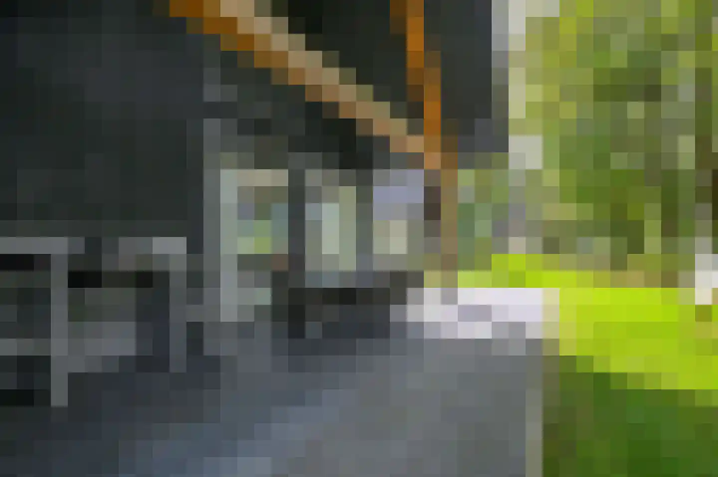 Valtherweg 36 530 Exloo thumbnail 29
