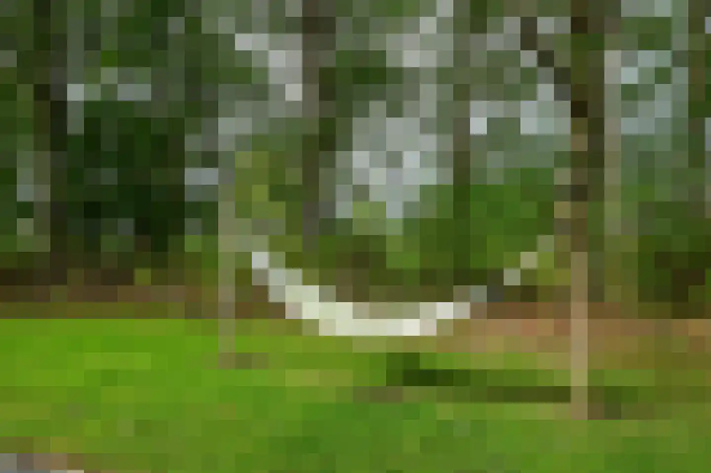 Valtherweg 36 530 Exloo thumbnail 37