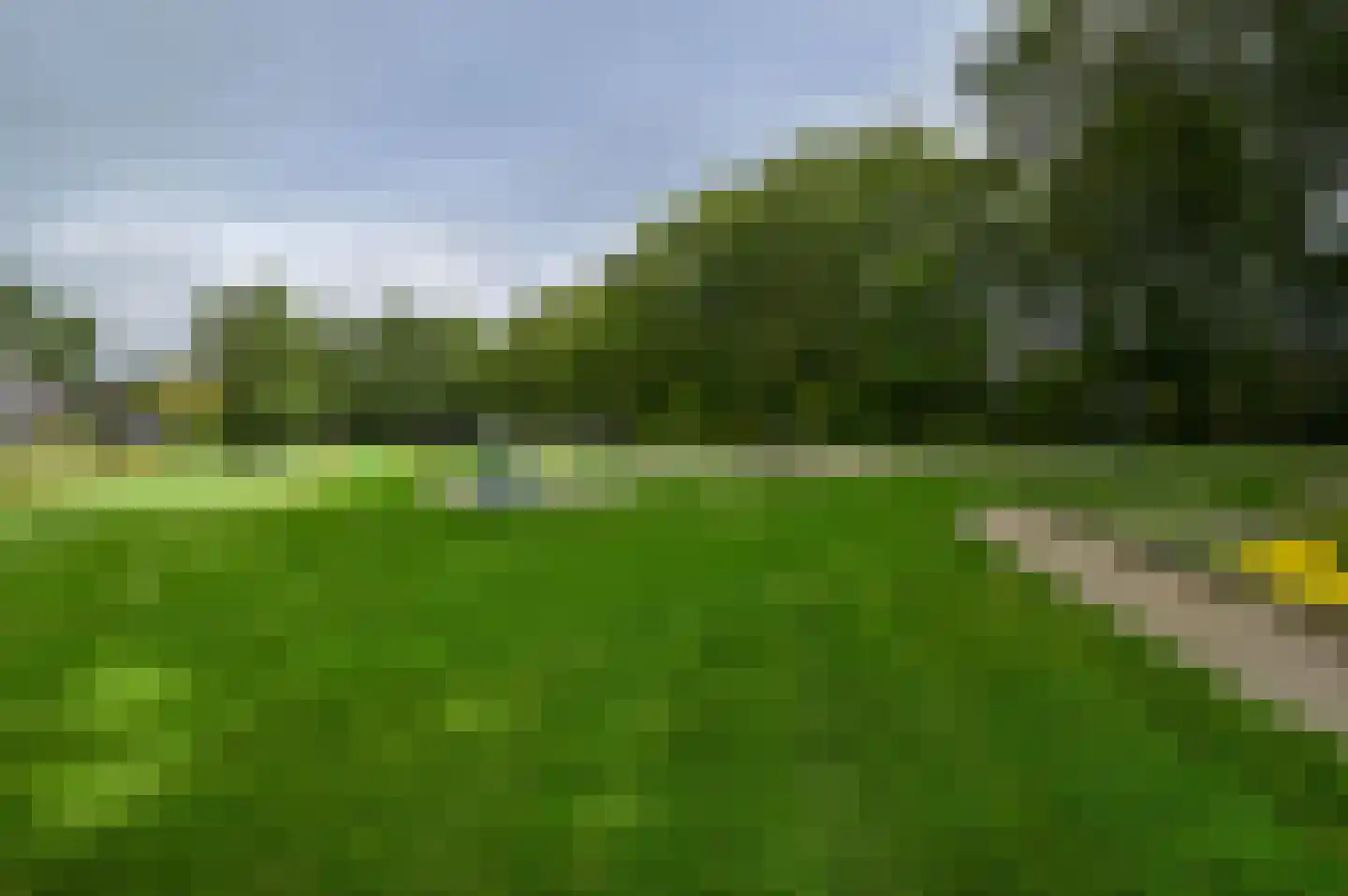 Valtherweg 36 530 Exloo thumbnail 38