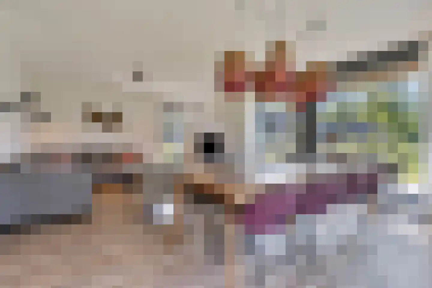 Valtherweg 36 543 Exloo thumbnail 10