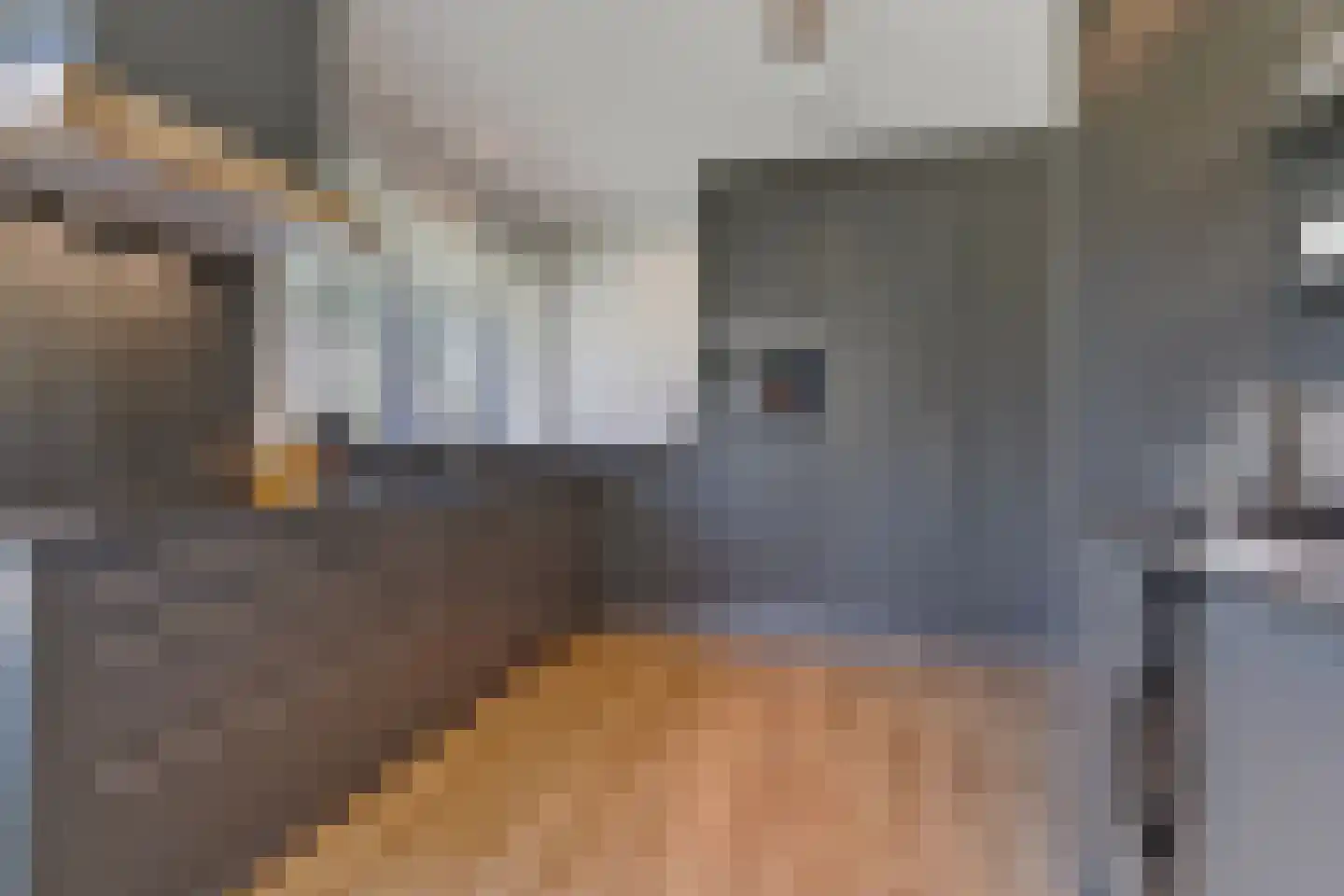 Valtherweg 36 543 Exloo thumbnail 11