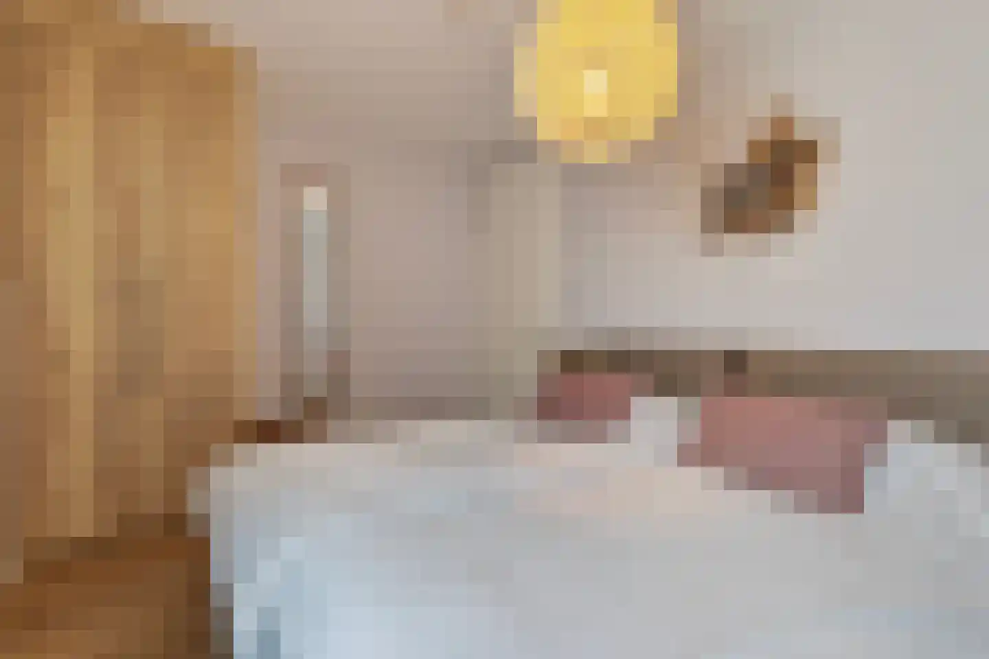 Valtherweg 36 543 Exloo thumbnail 14