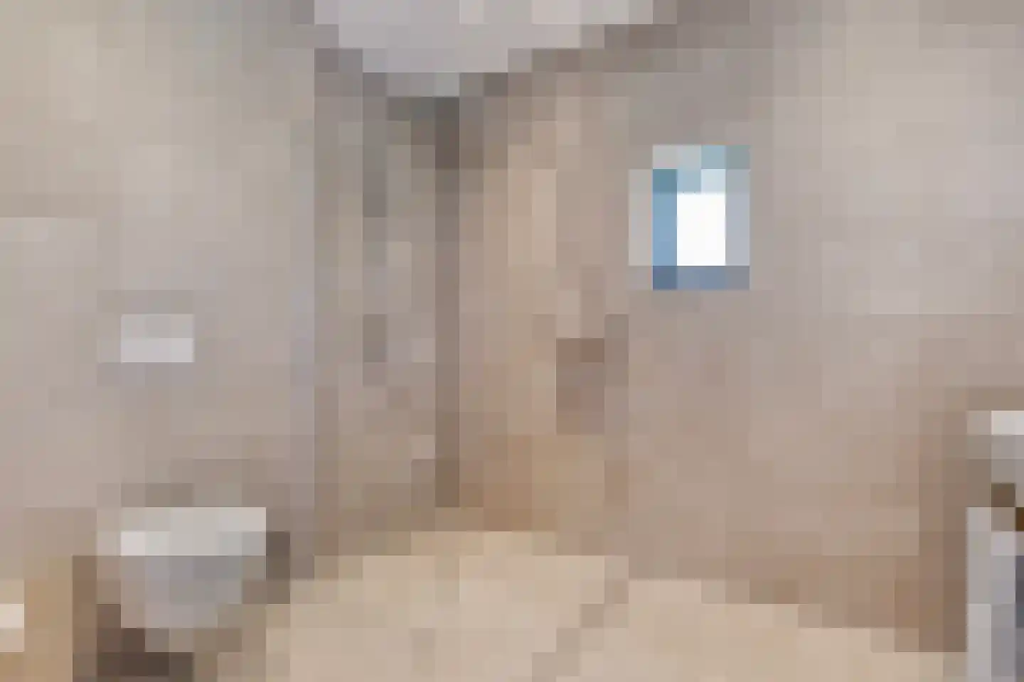 Valtherweg 36 543 Exloo thumbnail 15