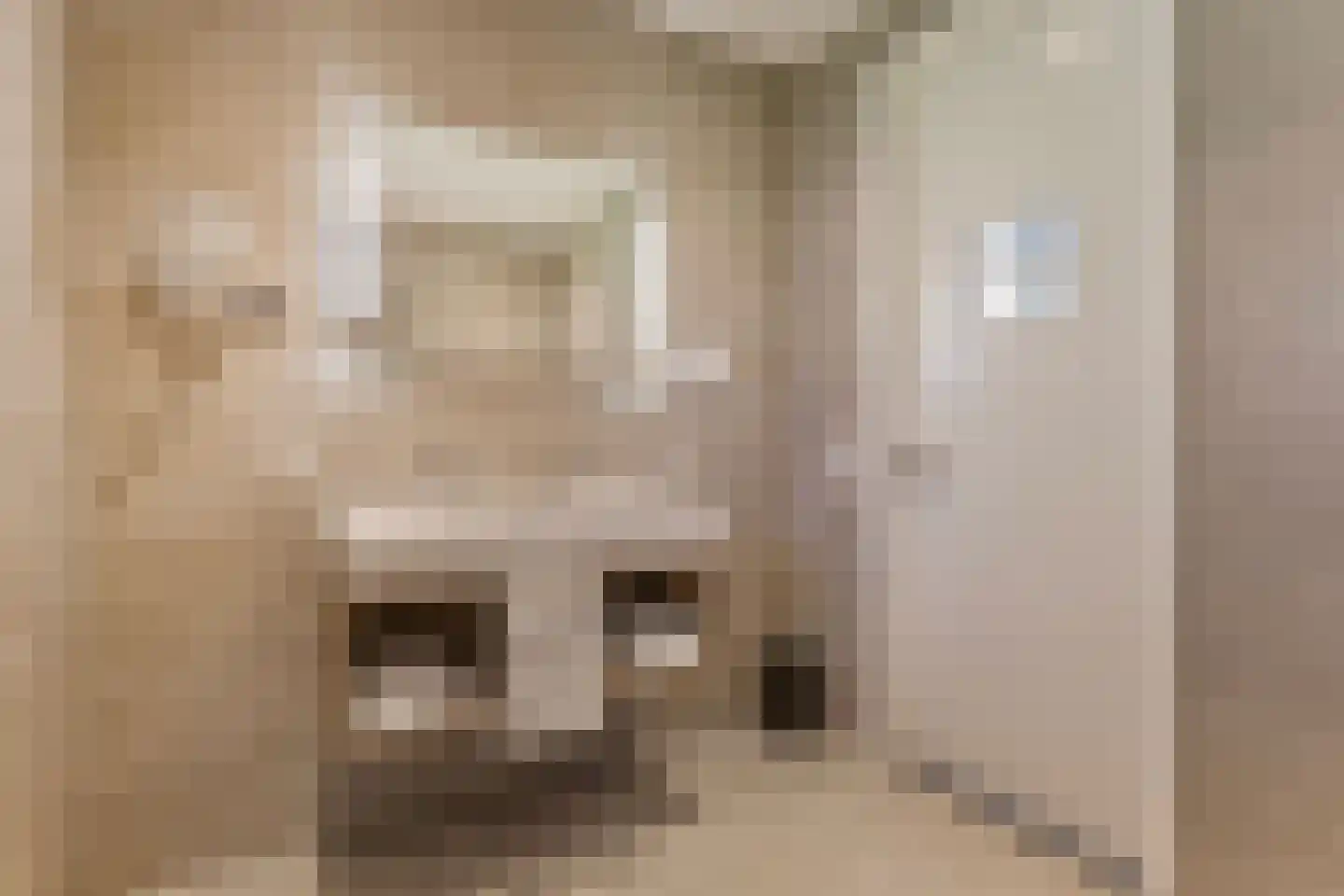 Valtherweg 36 543 Exloo thumbnail 16