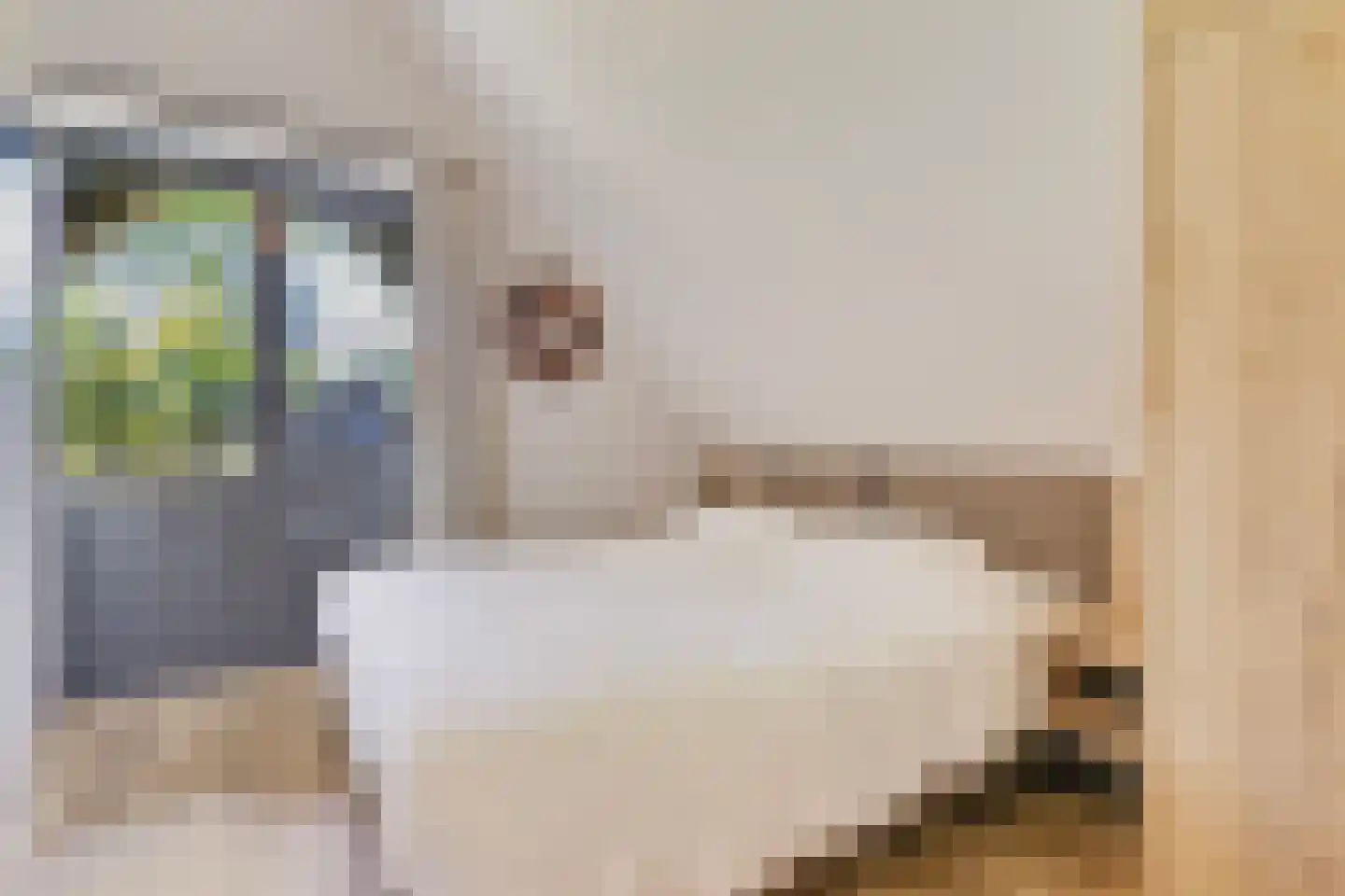 Valtherweg 36 543 Exloo thumbnail 18