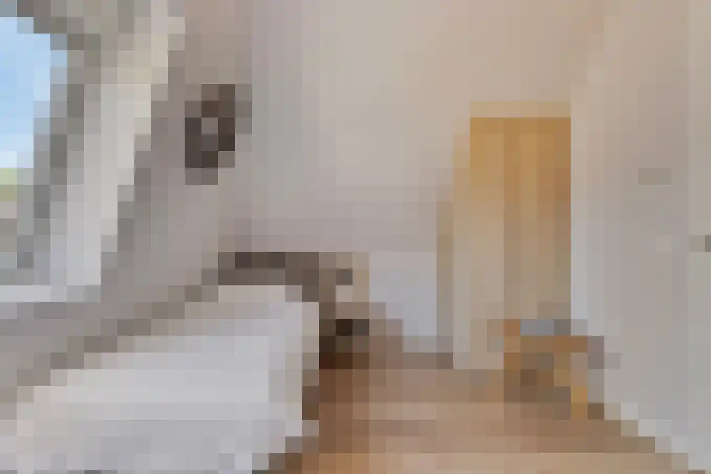 Valtherweg 36 543 Exloo thumbnail 20
