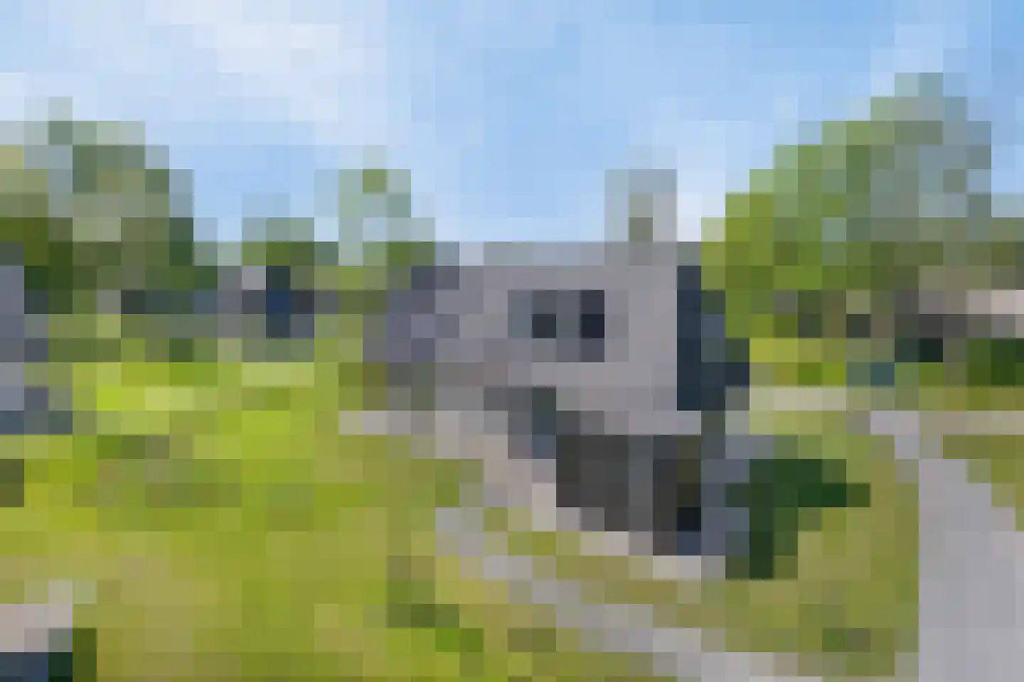 Valtherweg 36 543 Exloo thumbnail 28