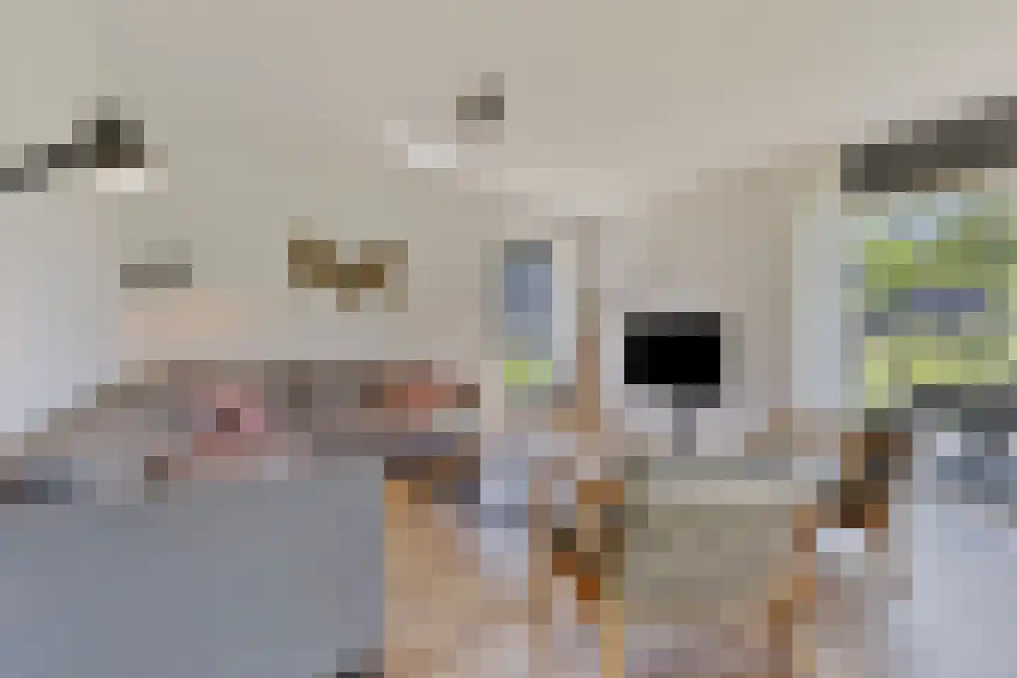 Valtherweg 36 543 Exloo thumbnail 6