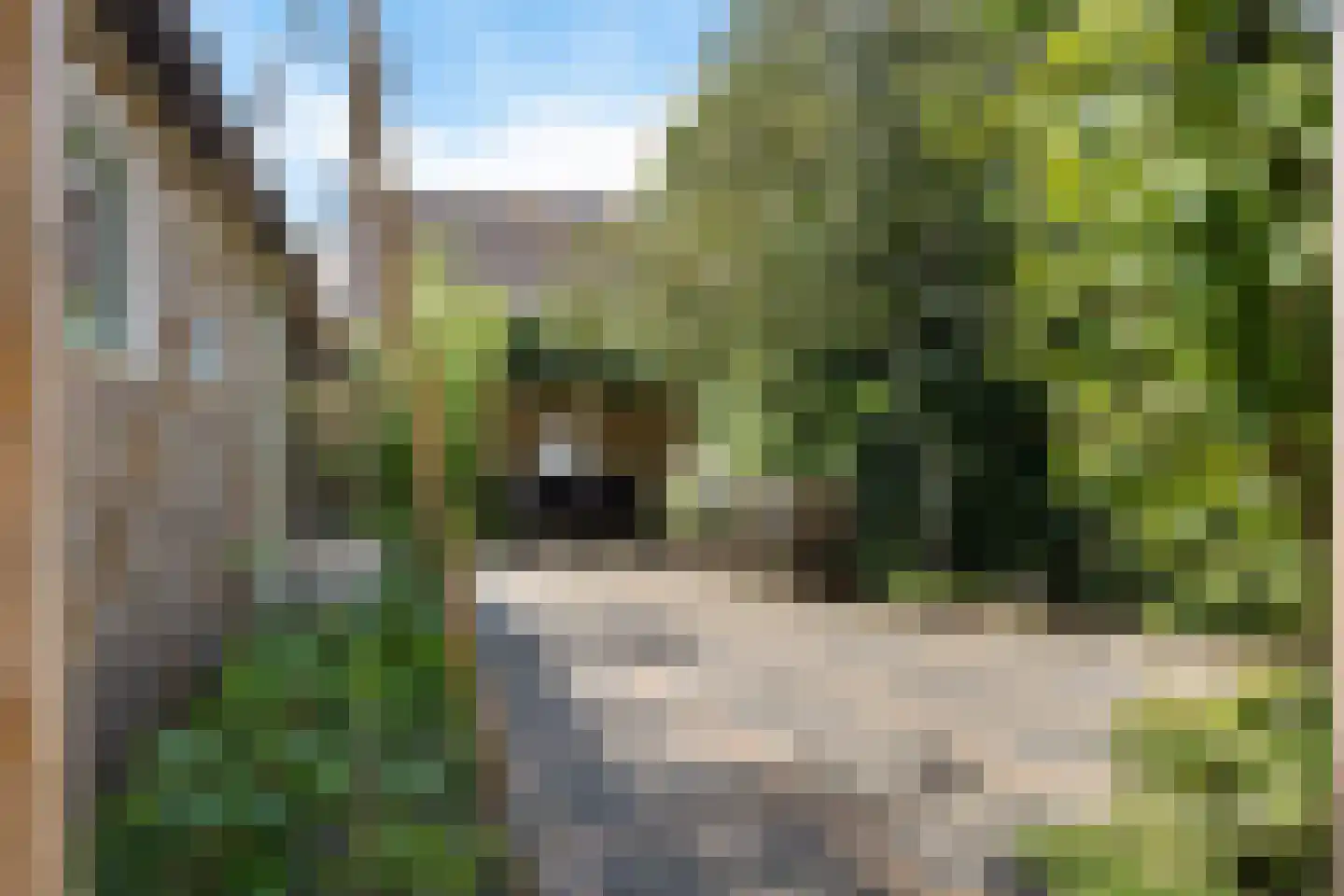 Valtherweg 44 Odoorn thumbnail 37