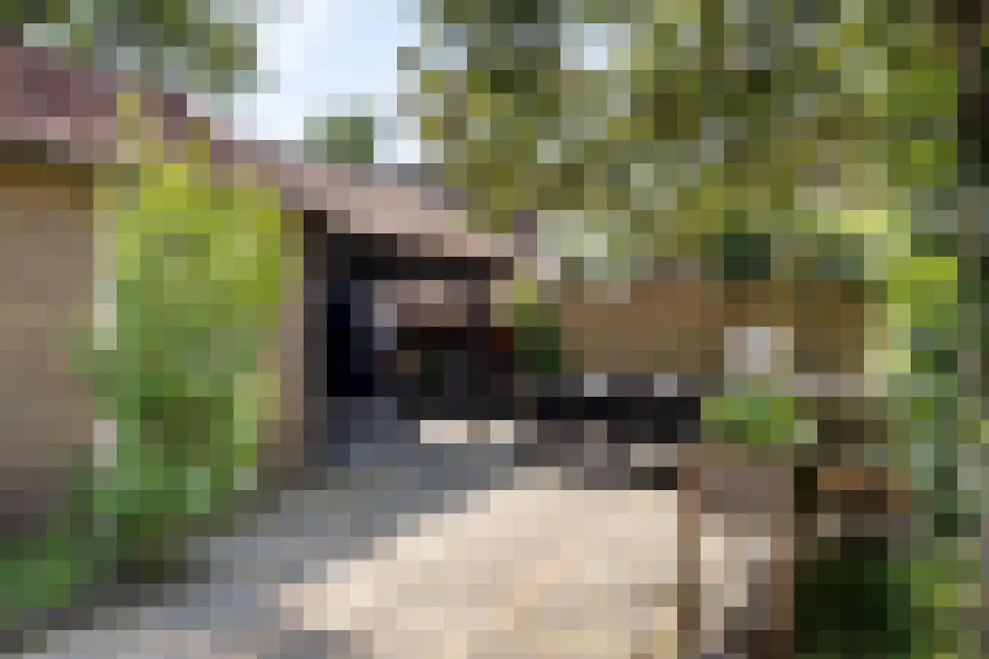 Valtherweg 44 Odoorn thumbnail 38