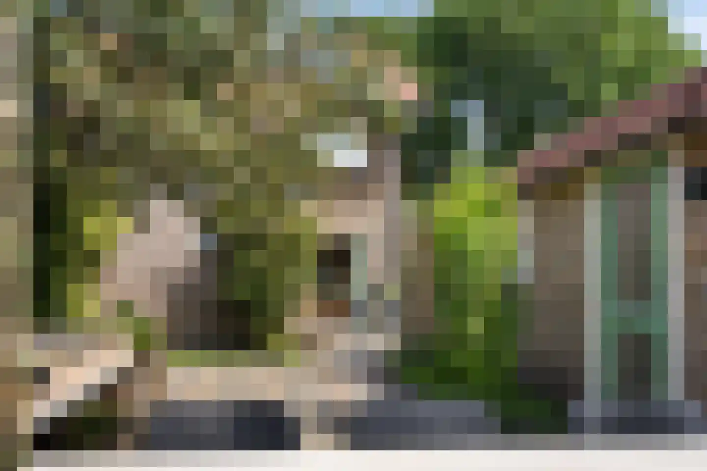 Valtherweg 44 Odoorn thumbnail 40