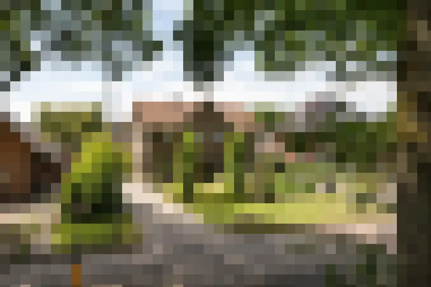 Valtherweg 44 Odoorn thumbnail 42