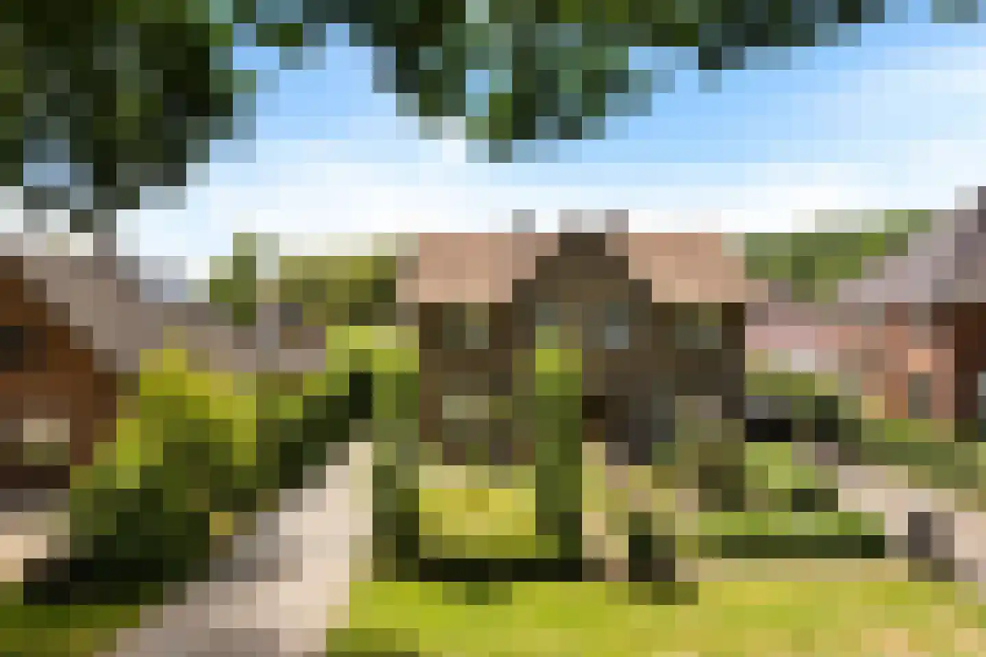 Valtherweg 44 Odoorn thumbnail 43