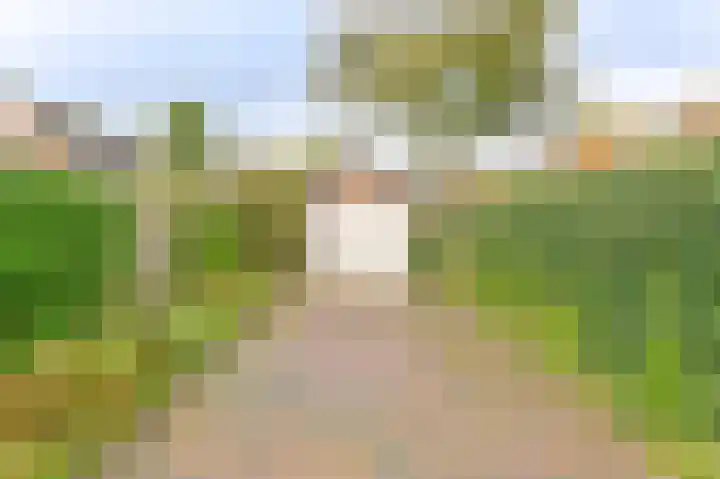 Valtherweg 46 Odoorn thumbnail 55