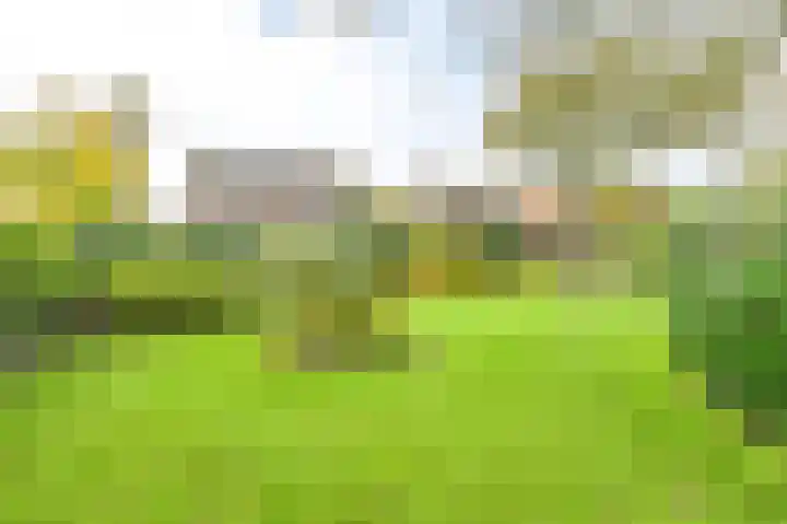 Valtherweg 46 Odoorn thumbnail 66