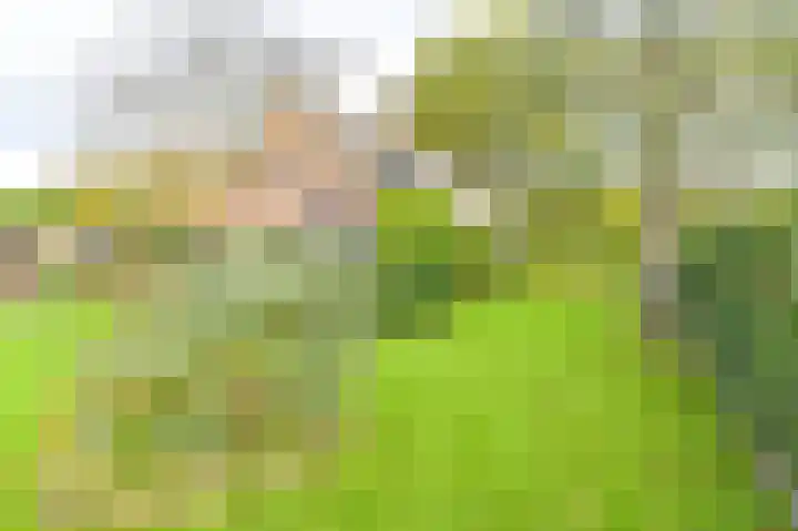 Valtherweg 46 Odoorn thumbnail 67