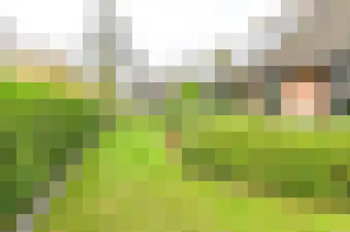 Valtherweg 46 Odoorn thumbnail 69