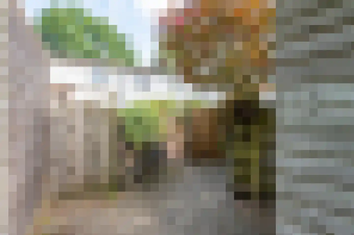 Valtherzandweg 118 C Emmen thumbnail 32
