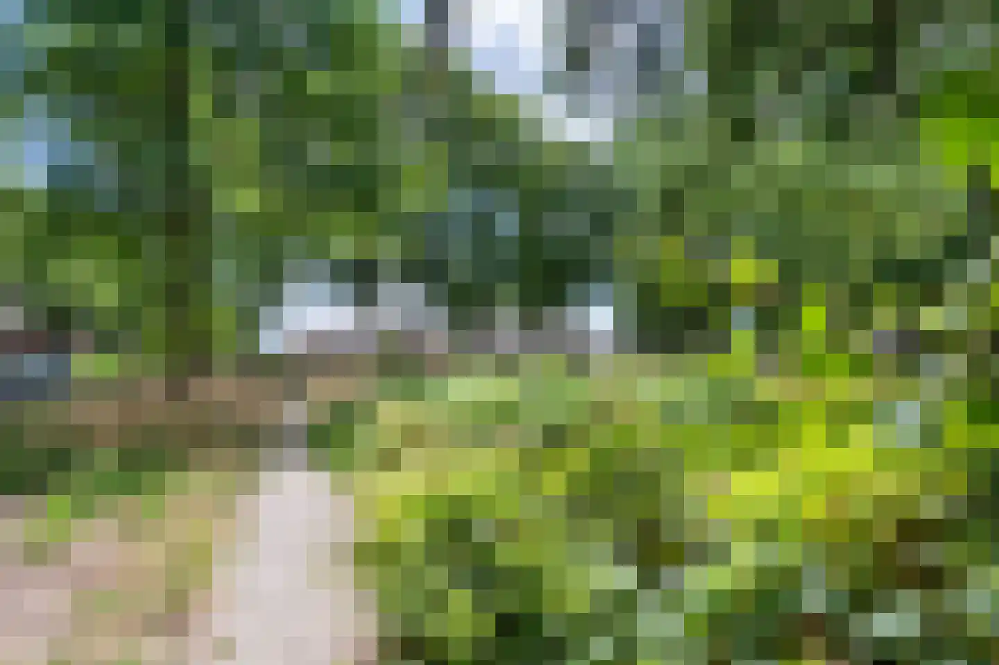 Valtherzandweg 118 C Emmen thumbnail 36